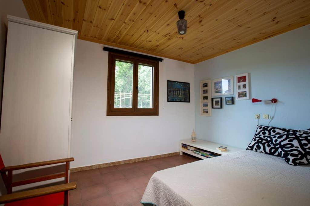 Agrampeli Villa Ierissós Ngoại thất bức ảnh