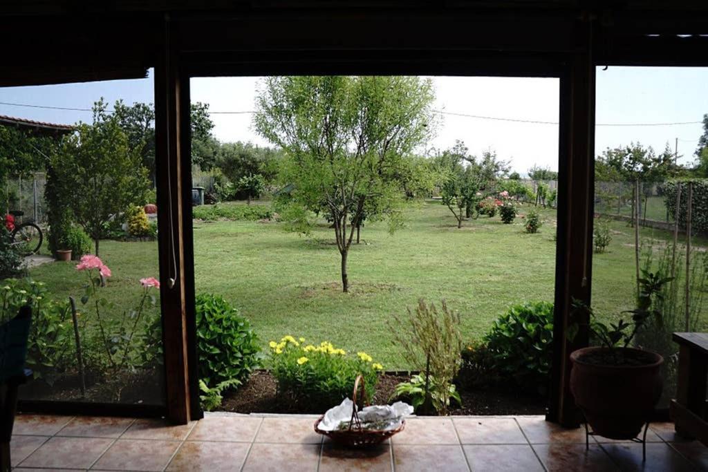 Agrampeli Villa Ierissós Ngoại thất bức ảnh