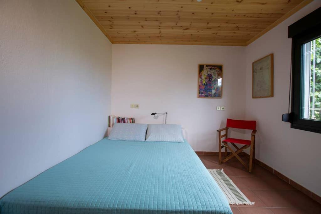 Agrampeli Villa Ierissós Ngoại thất bức ảnh