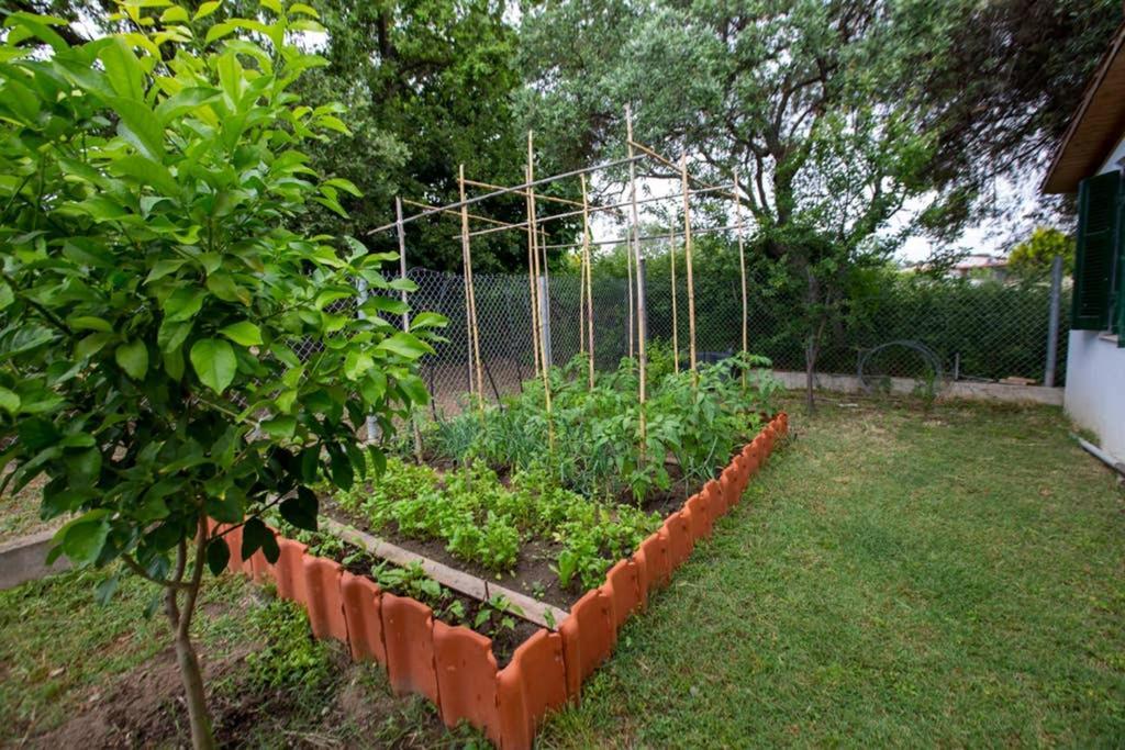 Agrampeli Villa Ierissós Ngoại thất bức ảnh