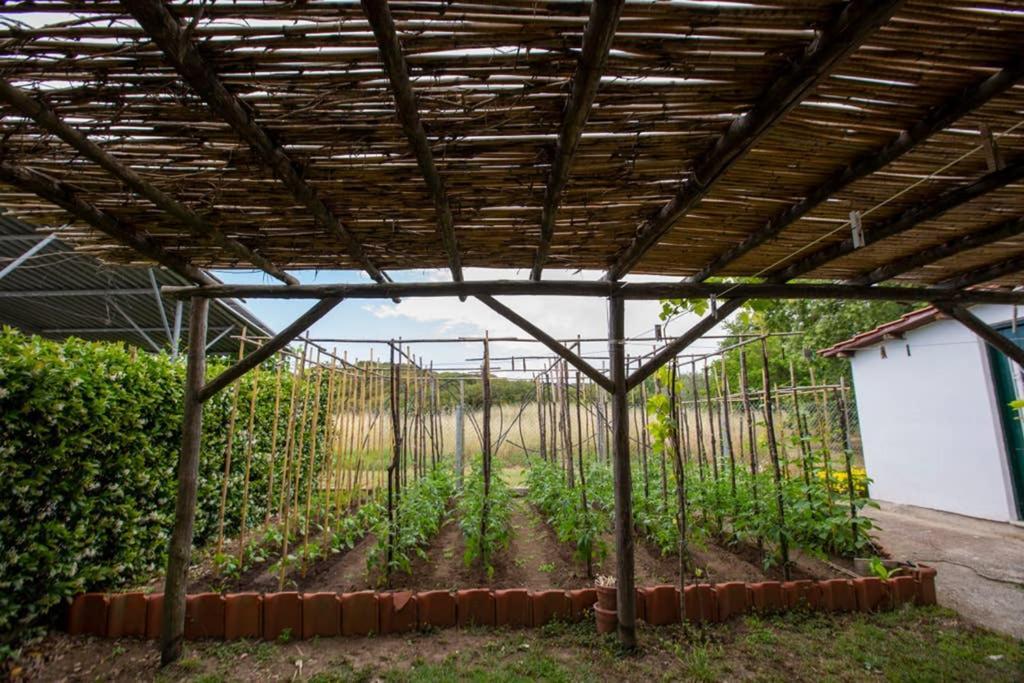 Agrampeli Villa Ierissós Ngoại thất bức ảnh